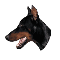 Kleine Aufkleber 4er Packung