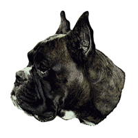 Kleine Aufkleber 4er Packung