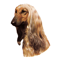 Kleine Aufkleber 4er Packung