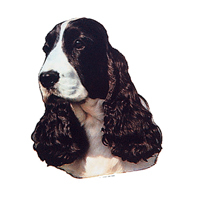 Kleine Aufkleber 4er Packung