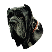 Kleine Aufkleber 4er Packung