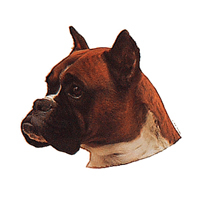 Kleine Aufkleber 4er Packung