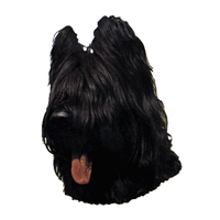 Kleine Aufkleber 4er Packung