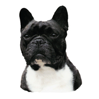 Kleine Aufkleber 4er Packung