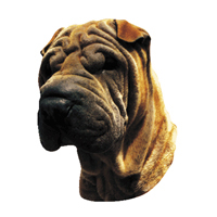 Kleine Aufkleber 4er Packung