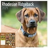 Rassekalender 2021
