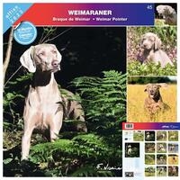 Rassekalender 2022