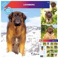 Rassekalender 2022