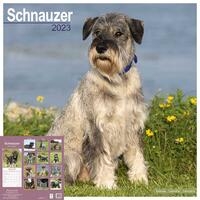 Rassekalender 2022