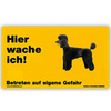 Warnschild "Hier wache ich!" Größe 17 x 10 cm,  gelb