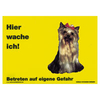 Warnschild "Hier wache ich!" Größe 28 x 20 cm,  gelb