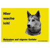 Warnschild "Hier wache ich!" Größe 28 x 20 cm,  gelb