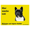 Warnschild "Hier wache ich!" Größe 28 x 20 cm,  gelb