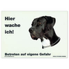 Warnschild "Hier wache ich!" Größe 28 x 20 cm,  weiß
