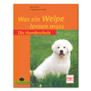 Was ein Welpe lernen muss