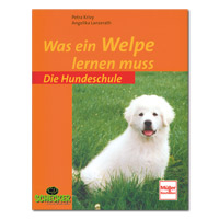 Was ein Welpe lernen muss