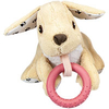Welpenfreund - Puppy -