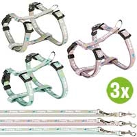 Welpengeschirr mit Leine,  Set