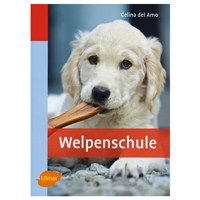 Welpenschule