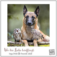 Wo die Liebe hinfliegt 2021 - Schäferhund Ingo & Steinkauz Poldi