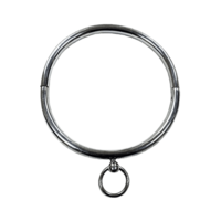 Stainless Steel Ring Collar