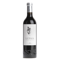 Castorani - Terre Di Chieti Cabernet Sauvignon Igt Lupaia 2020