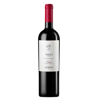 Coppo - Nizza Docg Pontiselli 2019