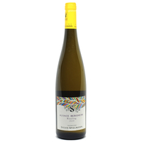 Sylvie Spielmann - Alsace Riesling Aoc Bergheim 2022