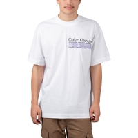 Calvin Klein Layered Address Tee