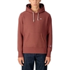 Champion Hooded Sweatshirt