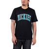 Dickies Aitkin Tee
