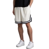 Karl Kani Small Signature Essential Mesh Shorts