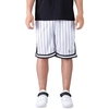Karl Kani Small Signature Pinstripe Mesh Shorts