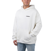 Low Light Studios Light Hoodie