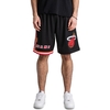 Mitchell & Ness Miami Heat NBA 2.0 Swingman Shorts