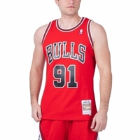 Mitchell & Ness NBA Swingman Jersey 2.0 Chicago Bulls