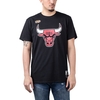Mitchell & Ness NBA Worn Logo Tee