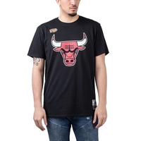 Mitchell & Ness NBA Worn Logo Tee
