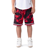 Mitchell & Ness Team Marble Swingman Shorts