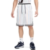 Nike Dri-FIT DNA Shorts