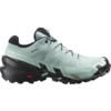 Salomon Speedcross 6 GTX 