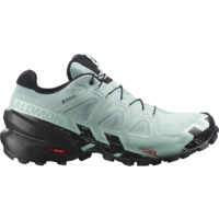 Salomon Speedcross 6 GTX 