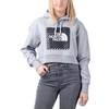 The North Face Coordinates Crop Hoodie