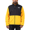 The North Face Denali 