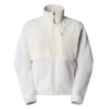 The North Face Ripstop Denali Jacket