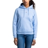 Tommy Jeans Linear Hoodie