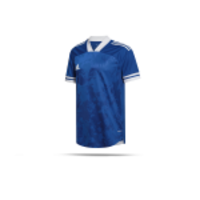 adidas Condivo 20 Trikot kurzarm (FT7258)
