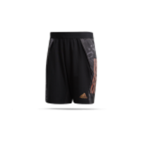 adidas Condivo 20 Ultimate Training Shorts (EA2500)