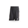 adidas DFB Deutschland Downtime Short (FI0769)