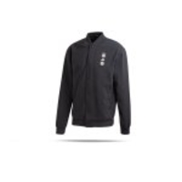 adidas DFB Deutschland SSP Jacke (FQ6619)